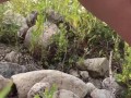She Sat Down on a Rock to Pee and it was so Hot to watch