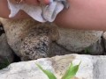 She Sat Down on a Rock to Pee and it was so Hot to watch