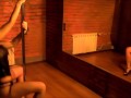 Sexy brunette  does Pole dance