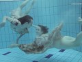 Two dressed beauties underwater Anna Netrebko and Lada Poleshuk