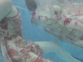 Two dressed beauties underwater Anna Netrebko and Lada Poleshuk