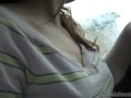 Sexy Horny Babe Sucks BF's Cock Outdoors