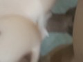 Fucked till his ass blasted. It was an amazing fuck