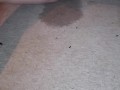 Masturbating while needing to pee and then peeing all over my carpet