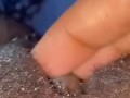 black ebony plays with pussy (OnlyFans: @babyruue