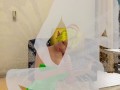 Tinker Bell is caught while exploring a house
