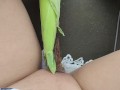 Anna Perv play whith corn when ride car