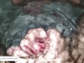 Cumming UNDERWATER in the bathtub in SLOWMO