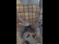 Upskirt diaper (preview, voyeurism, diaper, nappy, big bum, bbw school skirt)
