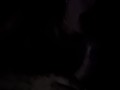 passionate and gentle blowjob before bed