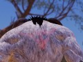 Furry Monster avler saftig fitte | Big Cock Monster | 3D Porn