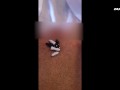 LITTLE NOISY ARAB PEOPLE