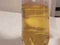 【ペットボトルおしっこ】横からおしっこで沢山ペットボトルに出すイケメン社会人