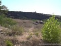 Offroad Driving Topless