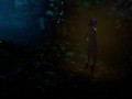 Wild Life - Kim's adventure part 2
