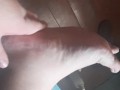 Putting bread inside my sneakers
