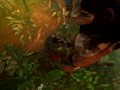 Tribe woman swallowing cum in the jungle 3D