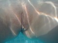 Swimming around naked in a garden pool with teasing