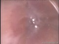 Asian beauty toyed hard in her ass
