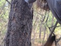 Little Whore Gets Fucked In The Woods!!!