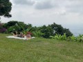 Squirting a huge cucumber on a picnic day!  Naty delgado