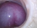 Internal camera. Creampie your pussy