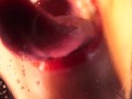 Wet Tongue Fetish