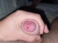 EVERYONE HAS HAPPENED TO CUM QUICKLY