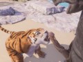 Wild Life / Furry Mating Rihno and Tiger