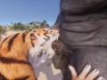 Wild Life / Furry Mating Rihno and Tiger