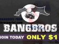 BANGBROS - Ebony Brunette Harley Dean Fucked By Rico Strong #BROWNBUNNIES