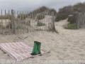 Ava Moore - MEGA BUKKAKE avec Aurbeaureal sur la plage naturiste du Cap d'Agde - PORNO REALITE