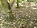 NAKED In the Woods Walking Away From My Clothes - RISKY PUBLIC NUDITY in the Forest