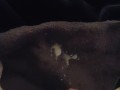 Cummin for you ;)