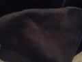 Cummin for you ;)