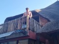 Bikini slut pissing from a balcony
