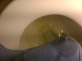 Pissing boxers on the toilet