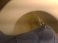 Pissing boxers on the toilet