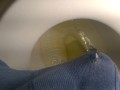 Pissing boxers on the toilet