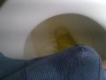 Pissing boxers on the toilet