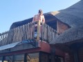 Chubby slut pissing everywhere and anywhere while wearing 2 different bikini's compilation