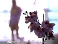 PASSION-HD Tight Pussy Girls Feel Every Inch Compilation