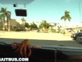 BAITBUS - Steven Ponce And Sunshine Cruising The Streets For Some Straight Guys To Trick On Hallowee