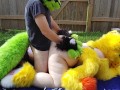 Furry backyard Sex