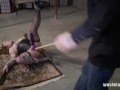 Hardcore BDSM Action For Horny Brunette Laying On Floor In Bondage