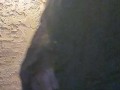 Grim Reaper Milks his BBC Big black dick