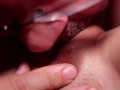 ASMR EROTIC Pussy Eating up Close - Alara