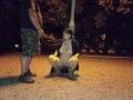 A submisive piss slut takes a piss in her mouth in a public park