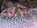 Blonde Dreadlock girl EXTREME close up blowjob