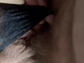 Wet hairy pussy gets fucked